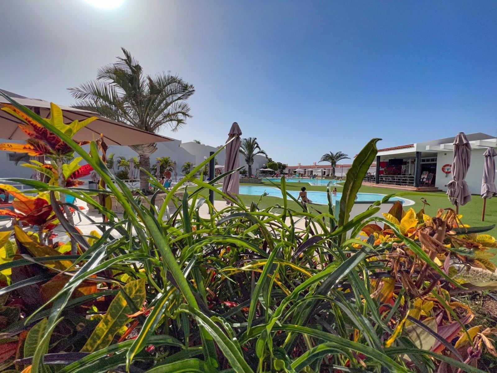 Malibu Park Apartments Sol Costa Adeje Dış mekan fotoğraf
